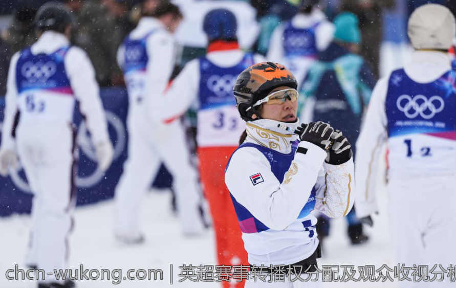 英超赛事转播权分配及观众收视分析