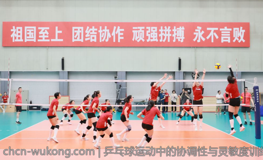 欧洲篮球联赛各大球队主场特色